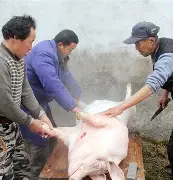 开云-出H6~伝H%猪?}S的简单介绍